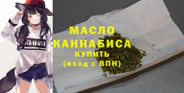 хмурый Инта
