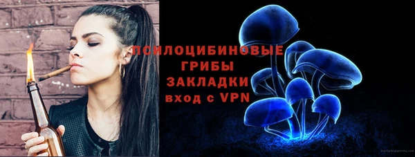 хмурый Инта