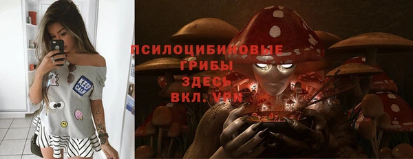 бошки Иннополис