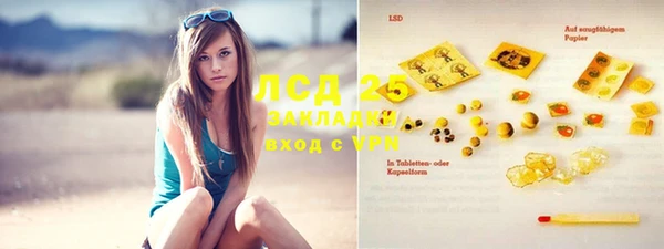 хмурый Инта
