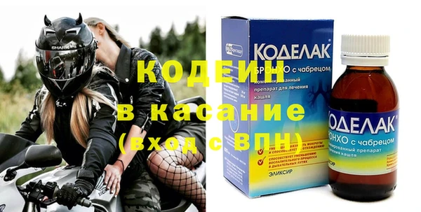 хмурый Инта