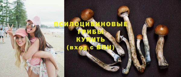 бошки Иннополис
