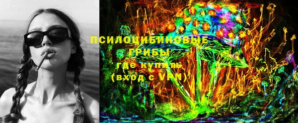 шишки Каменск-Шахтинский