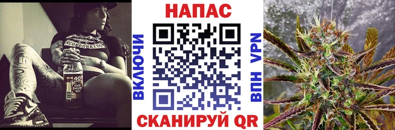 Купить закладки  Кондопога  Конопля гибрид 